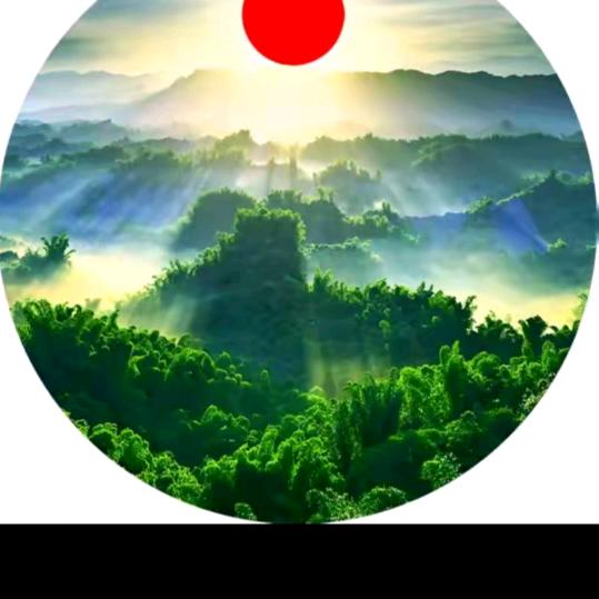 向阳🔥🔥🔥🔥🔥