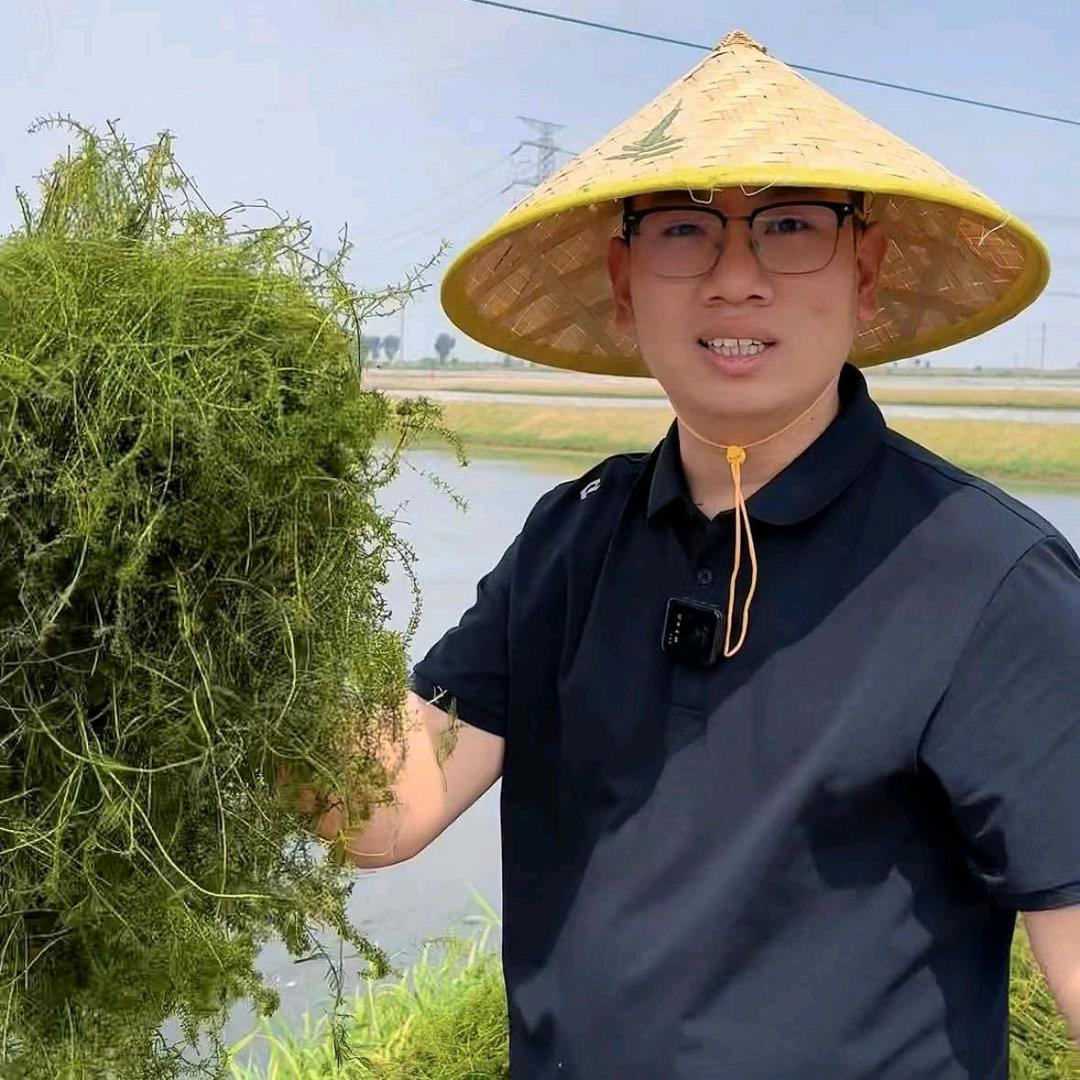 黄闸鲜生态大闸蟹