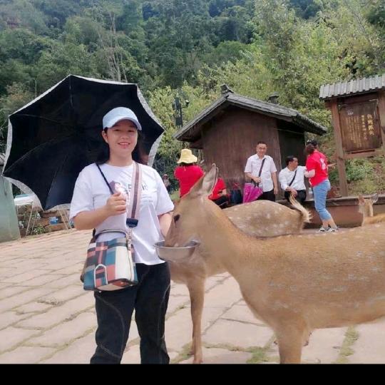 袁子惠