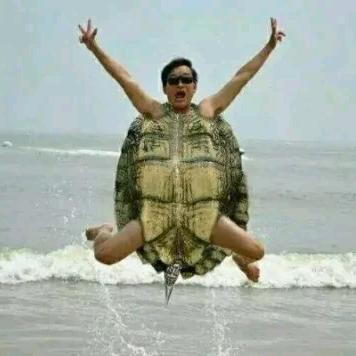 灰太狼的故事