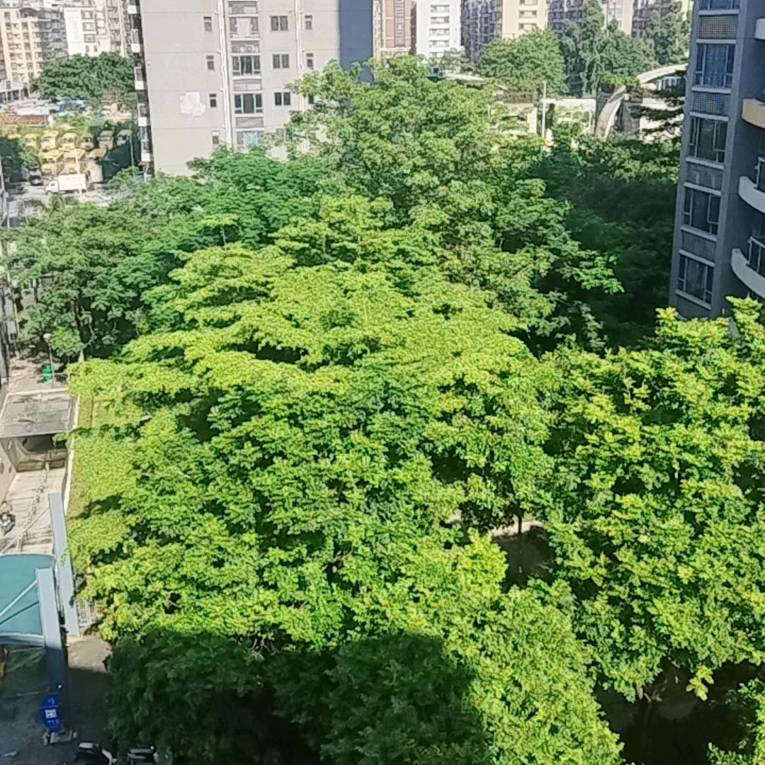 余生安好