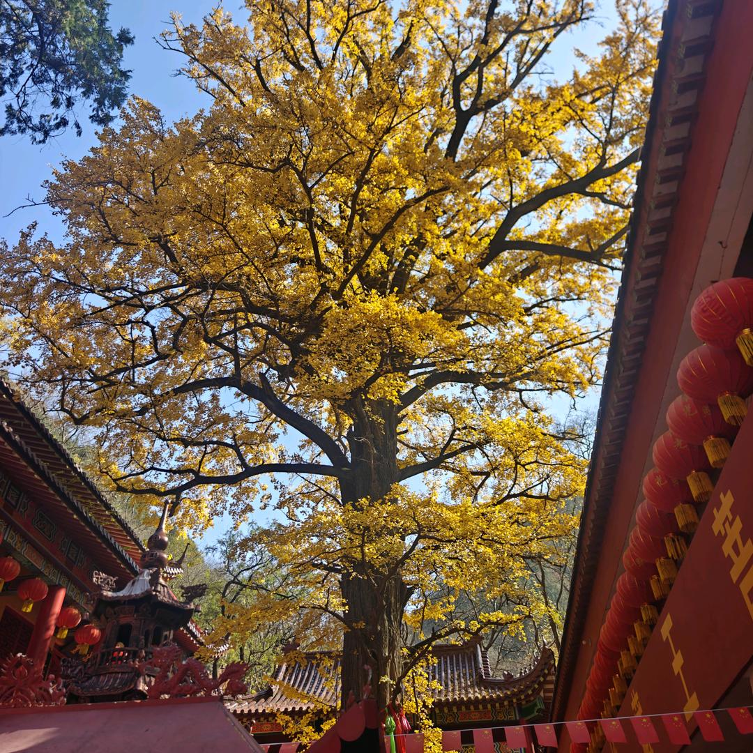 窦先生的快乐生活