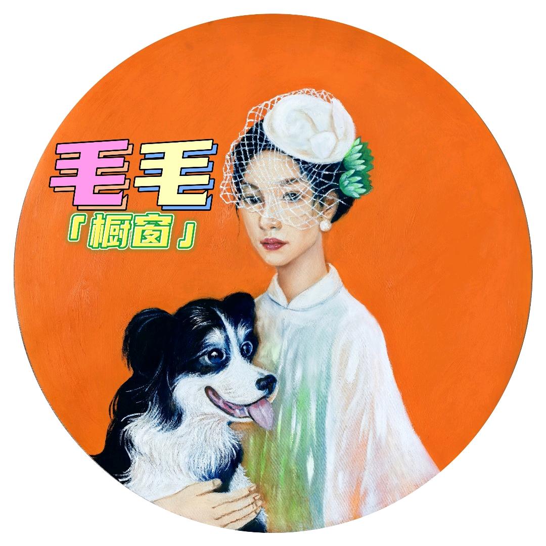 毛毛的世界