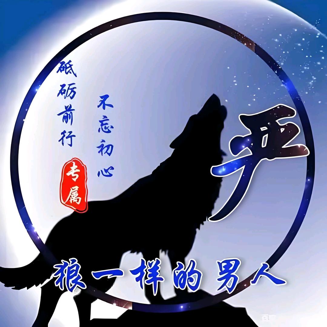 狼少之系统门窗阿勇