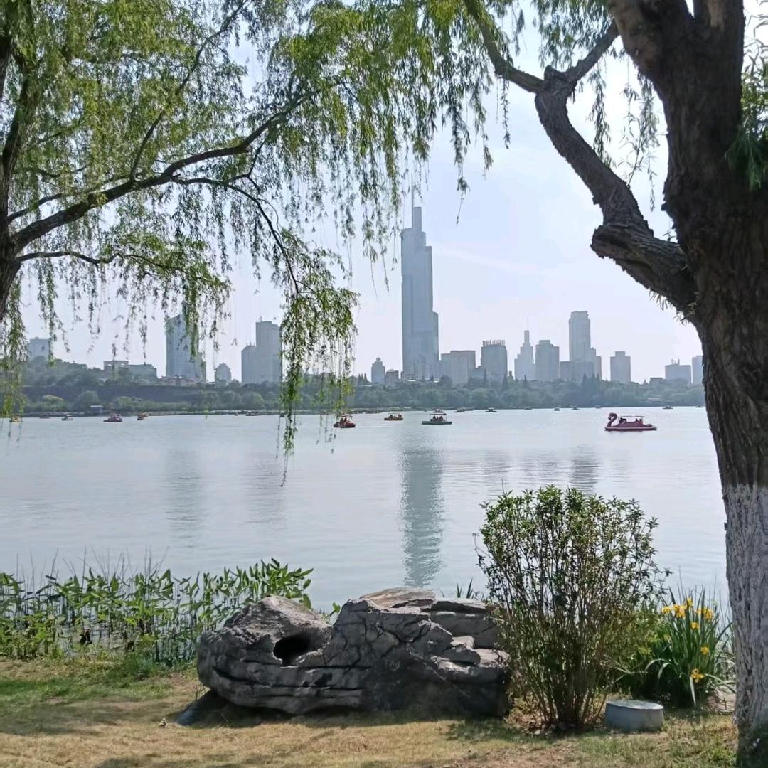 心海拾宝