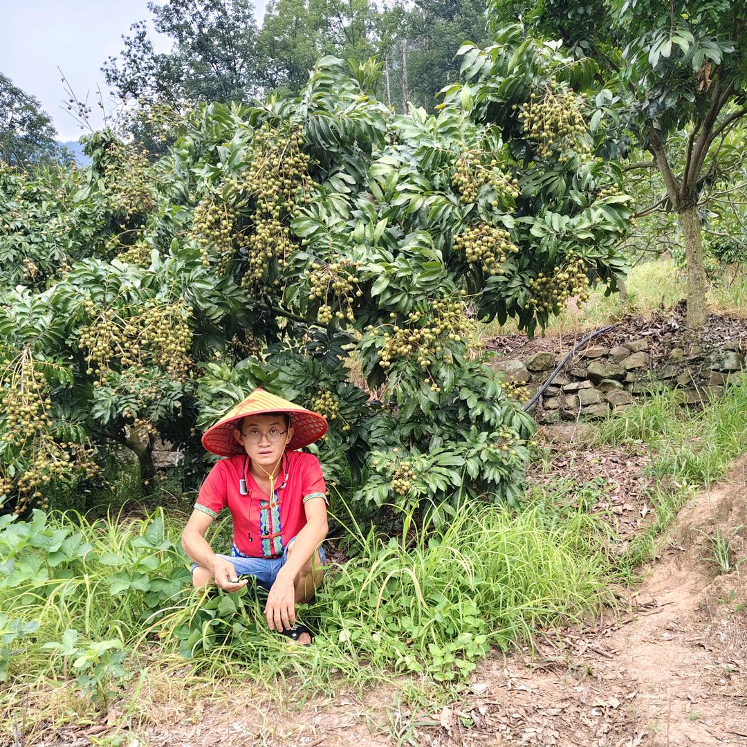 权权农货臻选阁