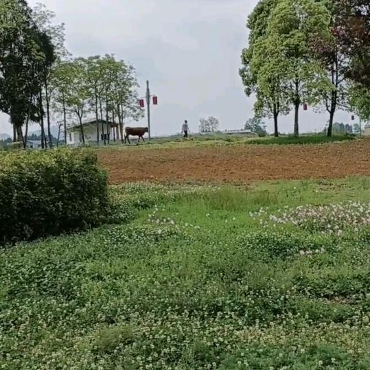 用户896202747