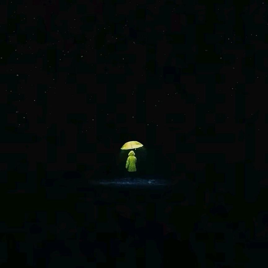 孤傲的王