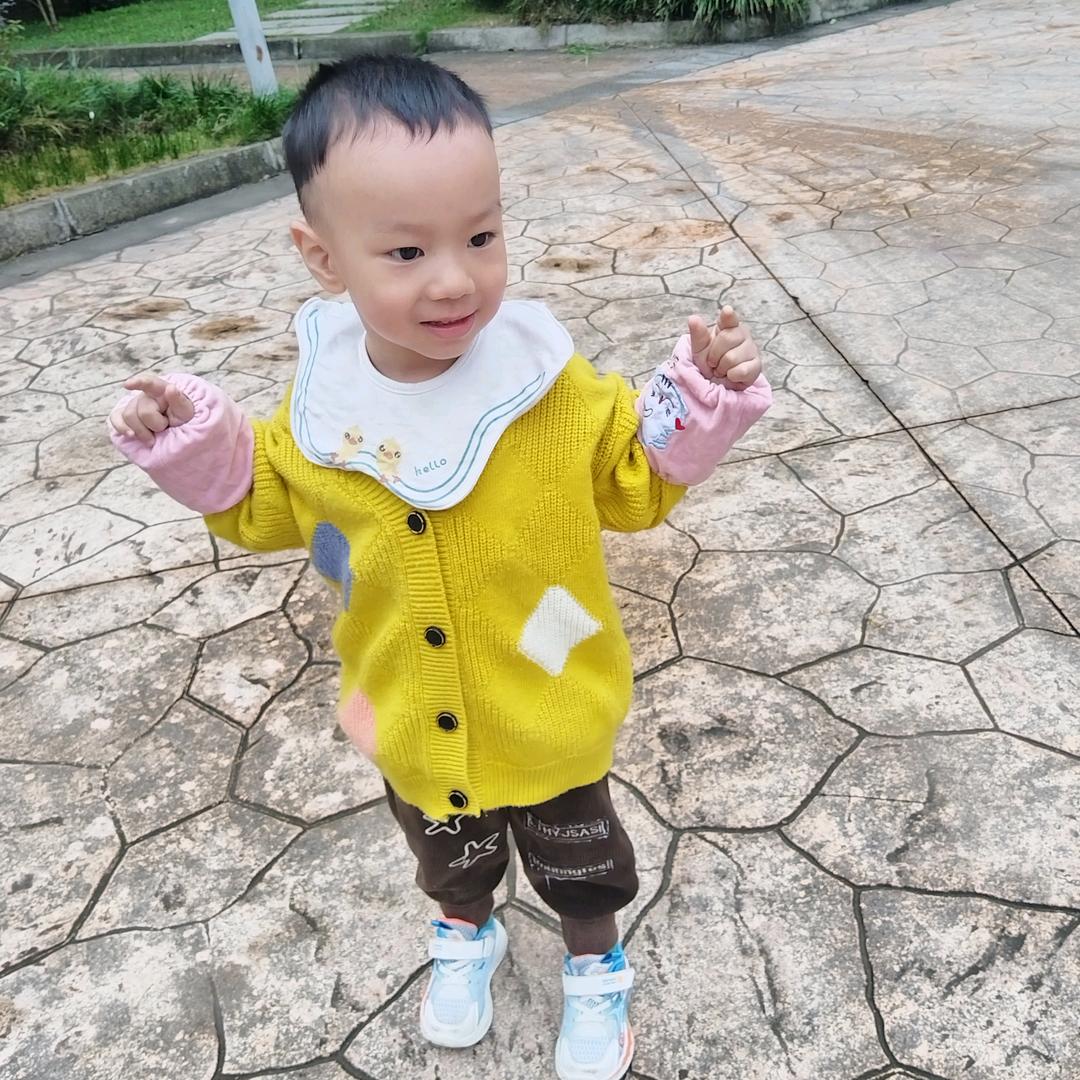 🍡柠檬树下的饭团子🍡