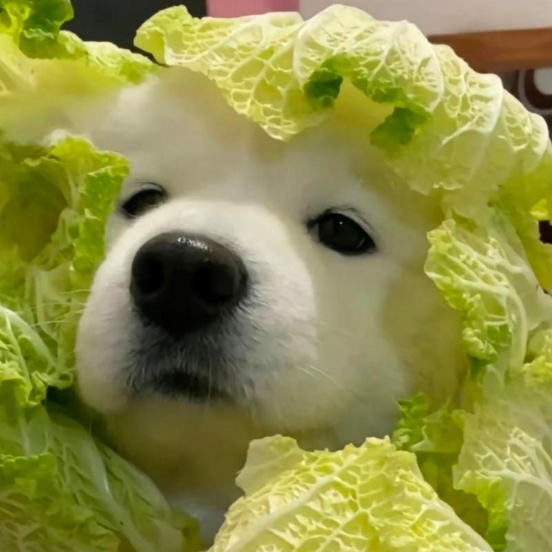 海洋之心❤