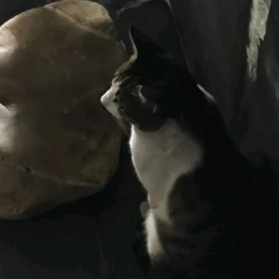 古臻意