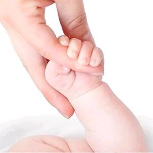 广州国丹公司运营唐