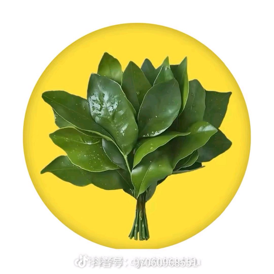 财神爷的小宝贝💰💰💰