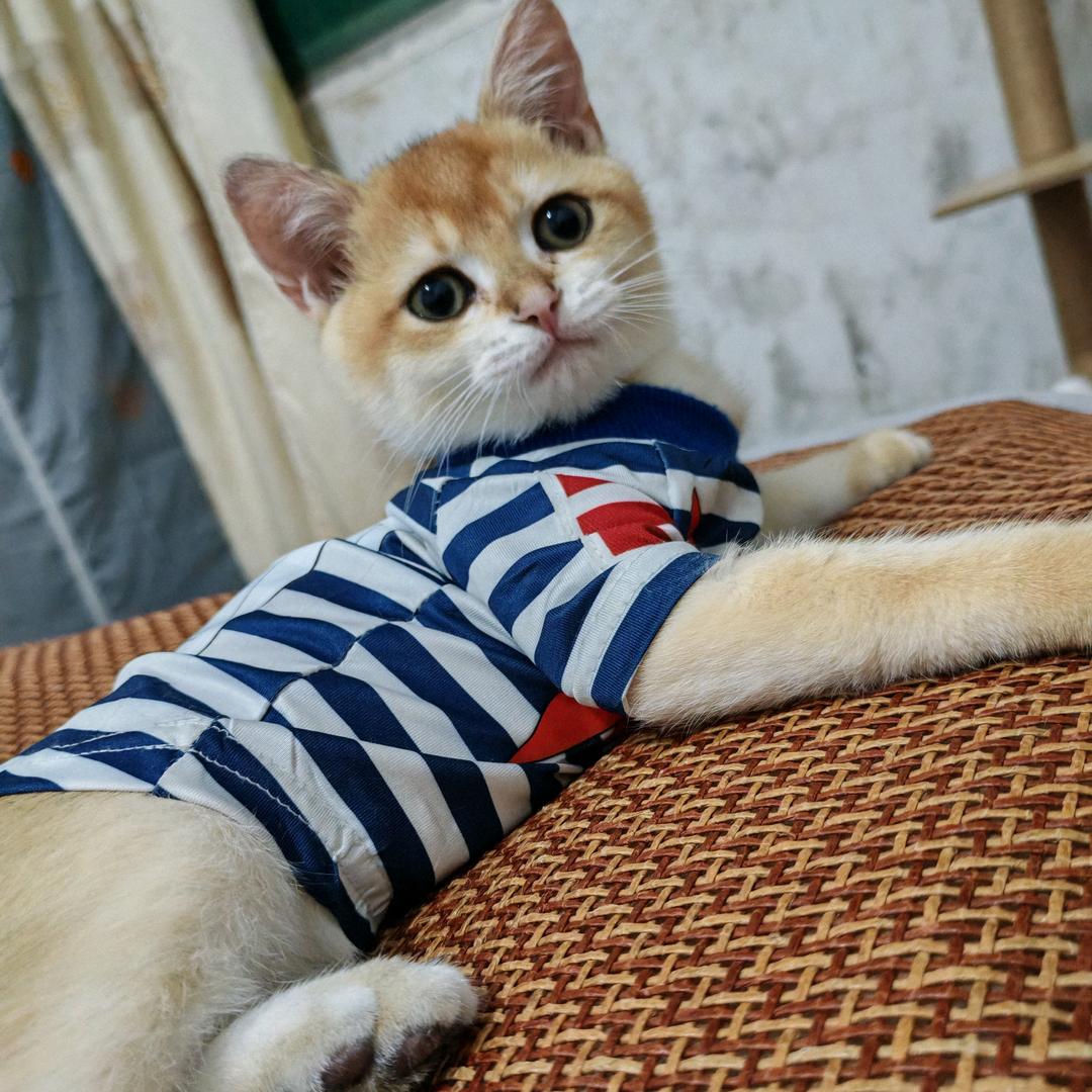 田甜⭕