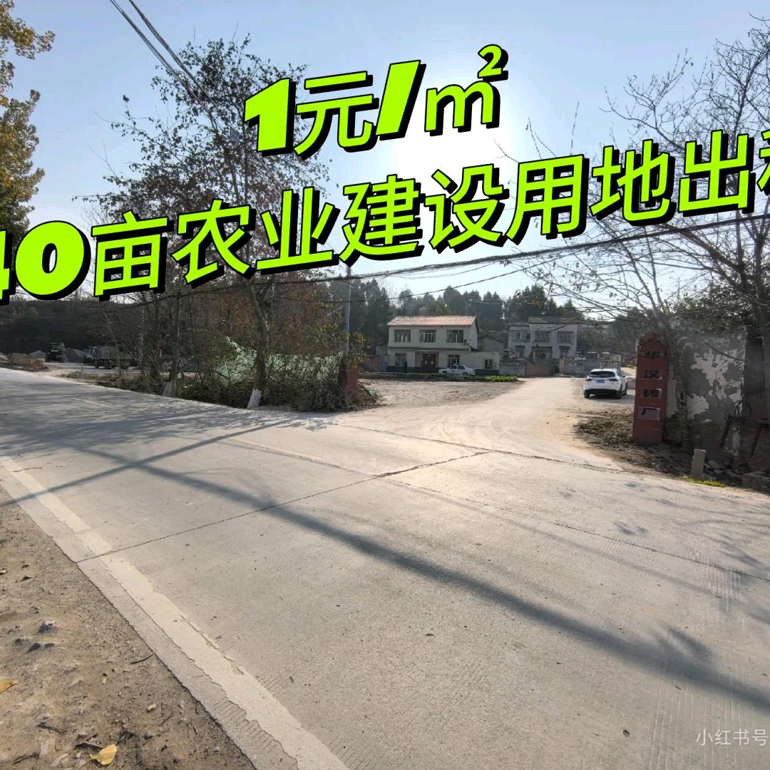 不走寻常路