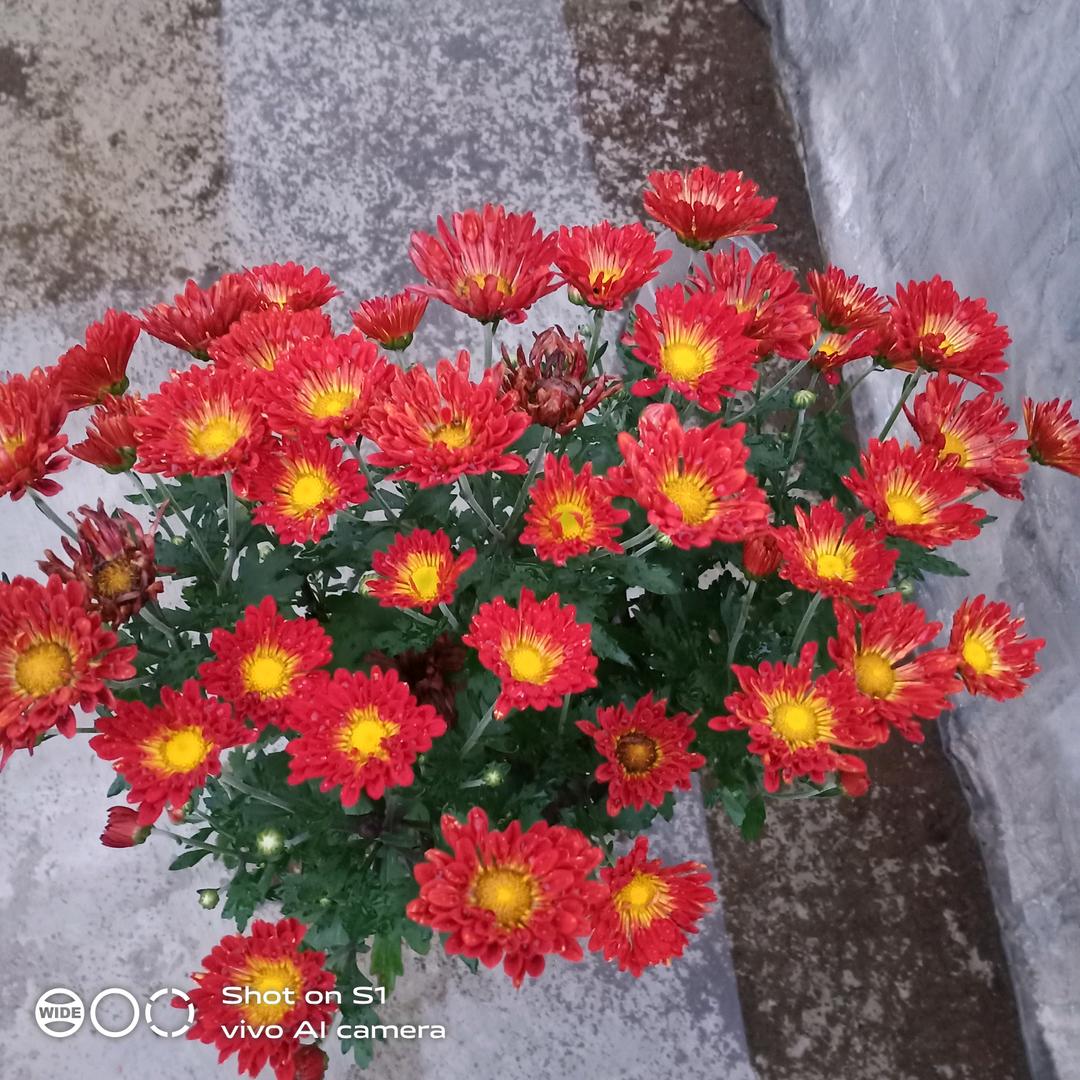 梦醒