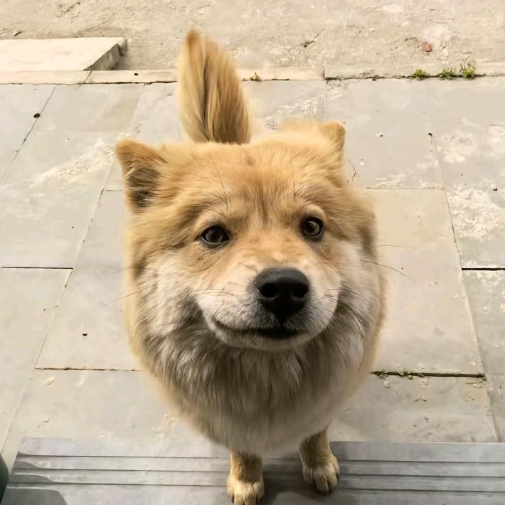 卖女孩的小火柴