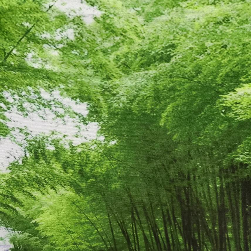 夜行的黑猫🐈‍⬛