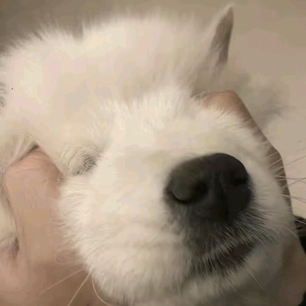 小 k