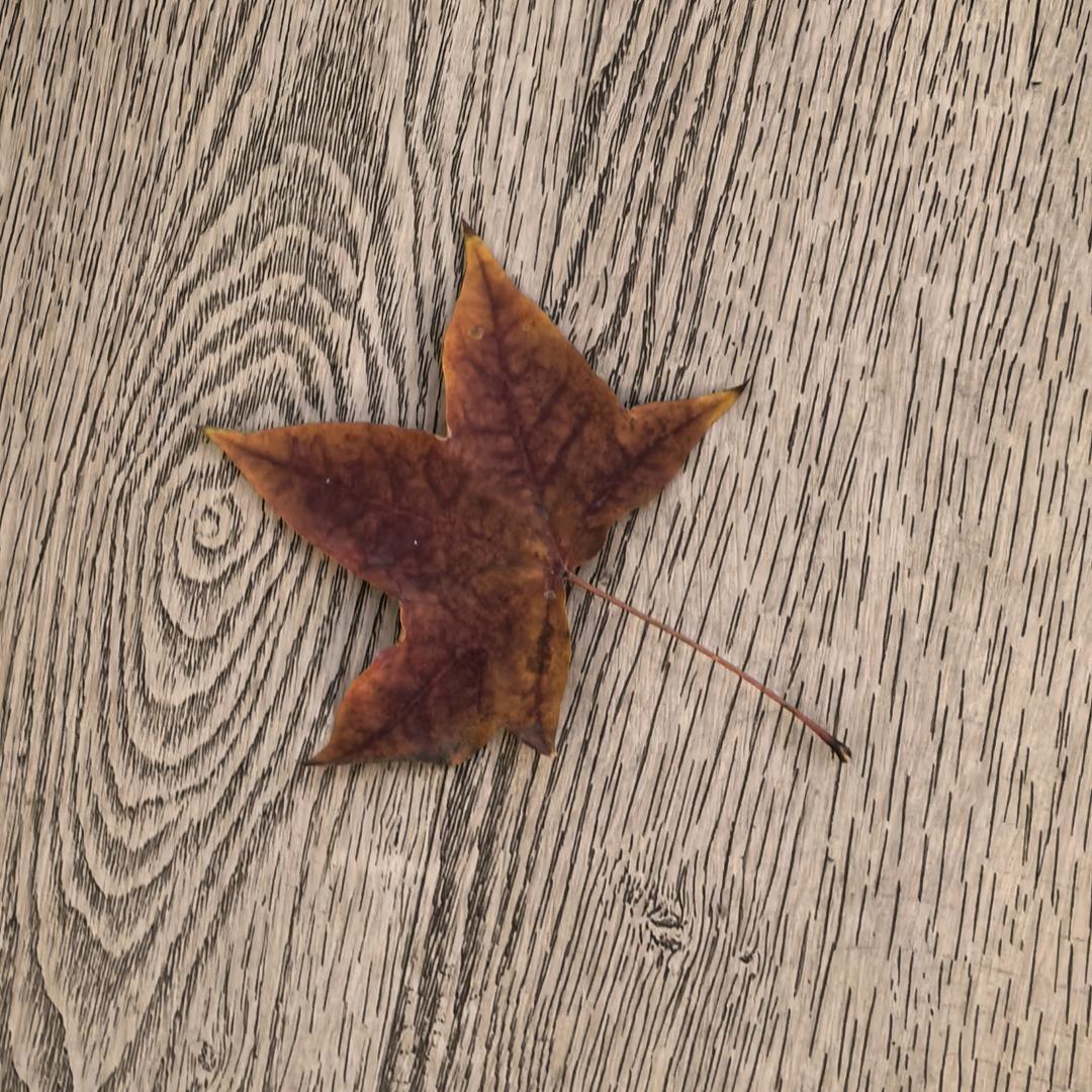 北航小悦学姐教数学-清北学院