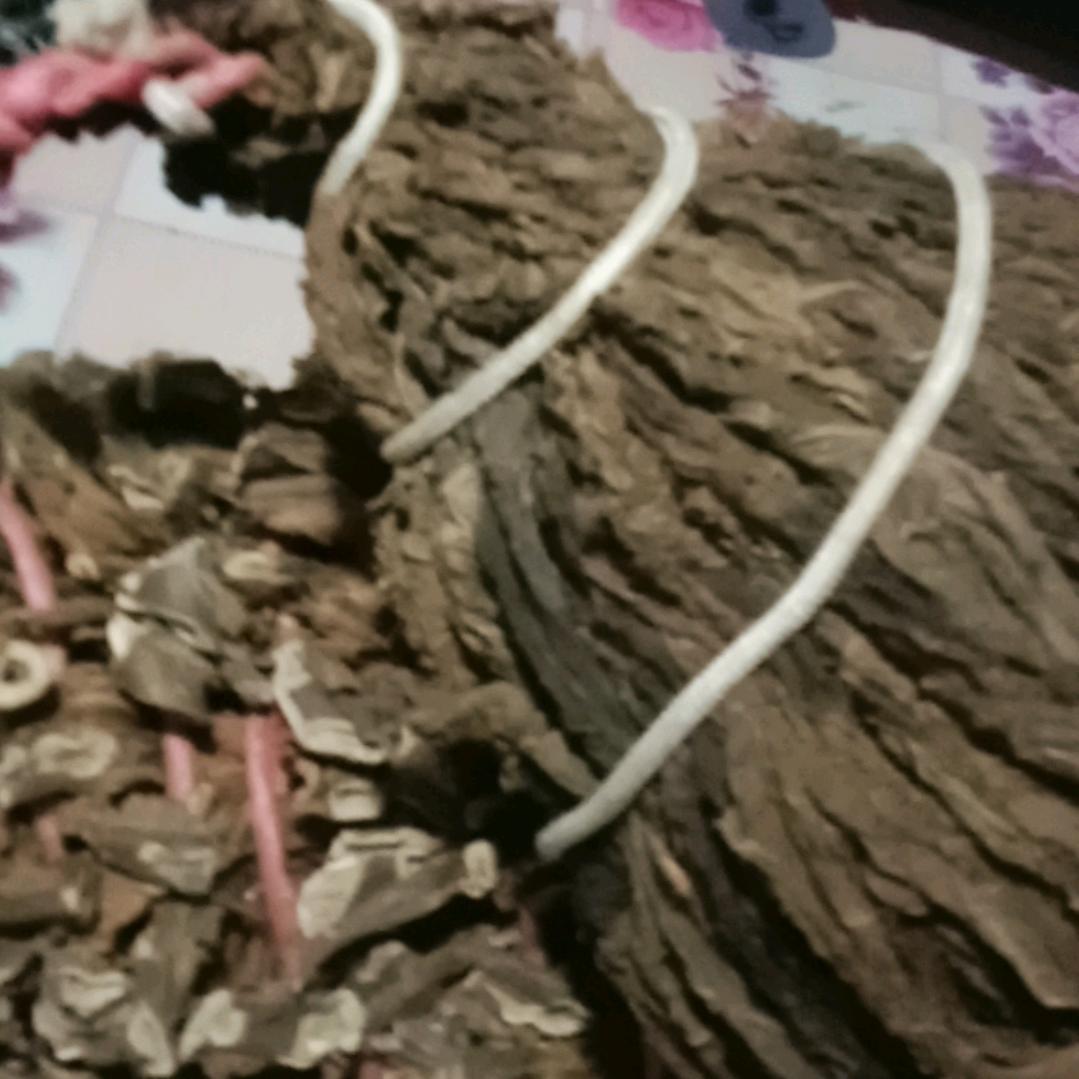 通达