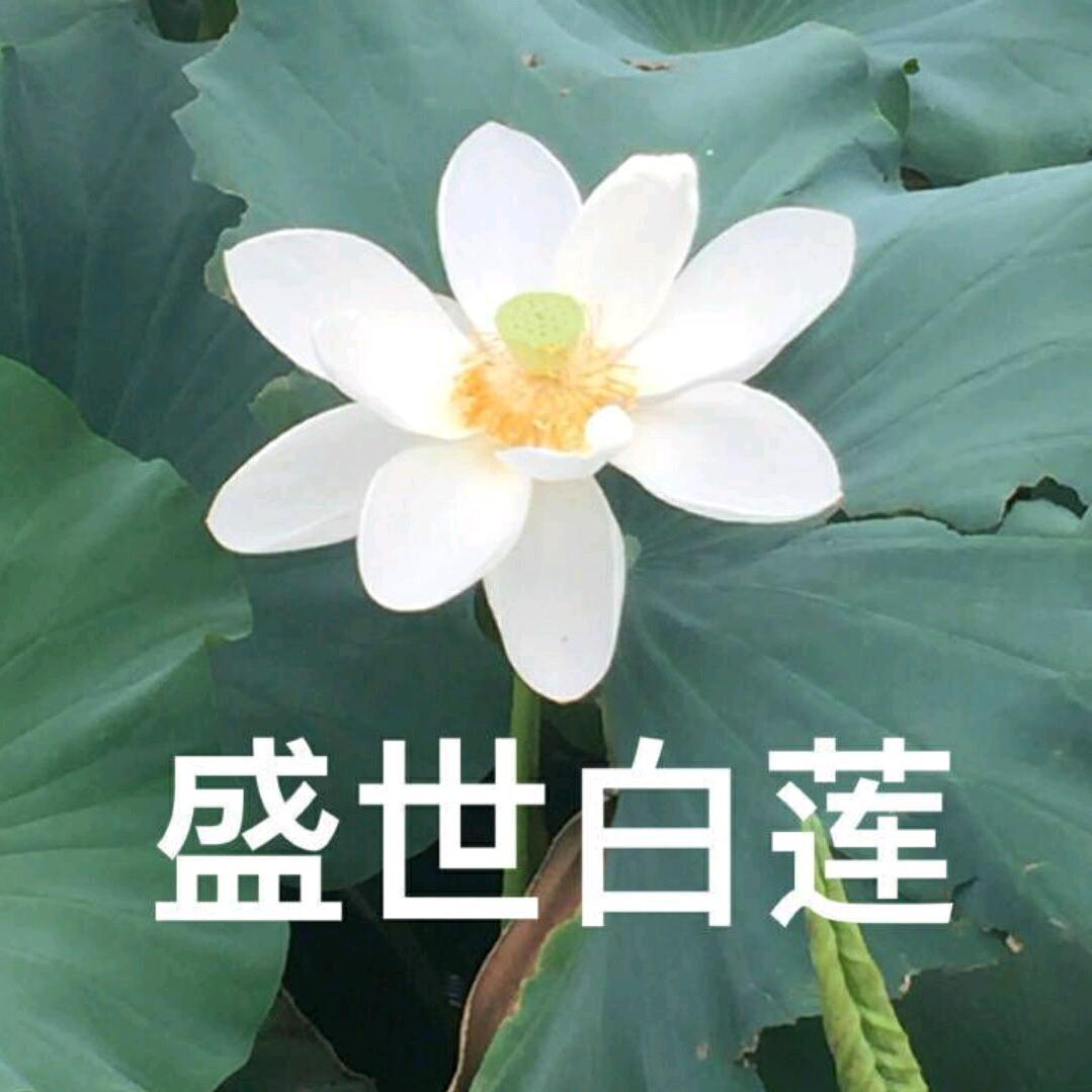 做梦都希望张函瑞长到1m8