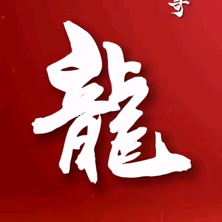 龙哥