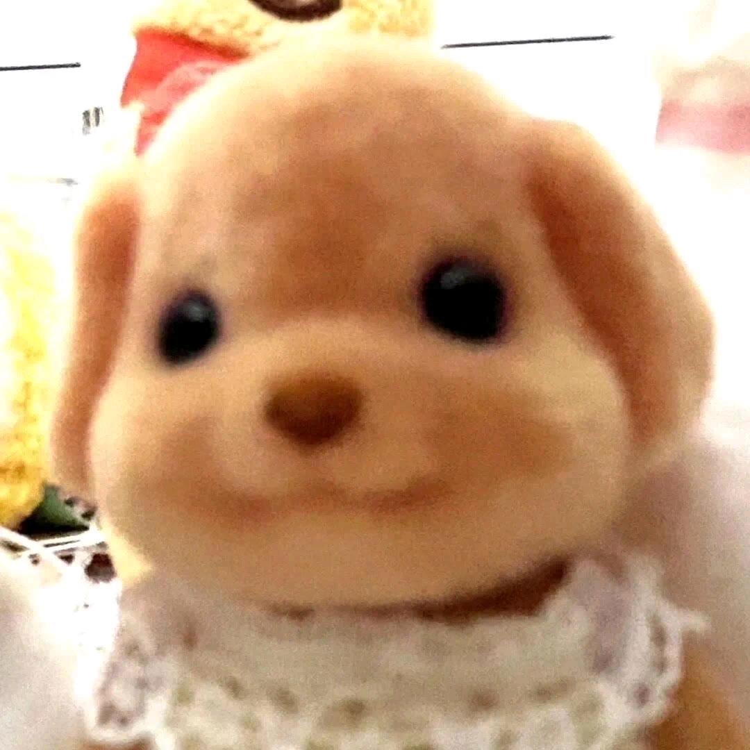 森贝儿大王