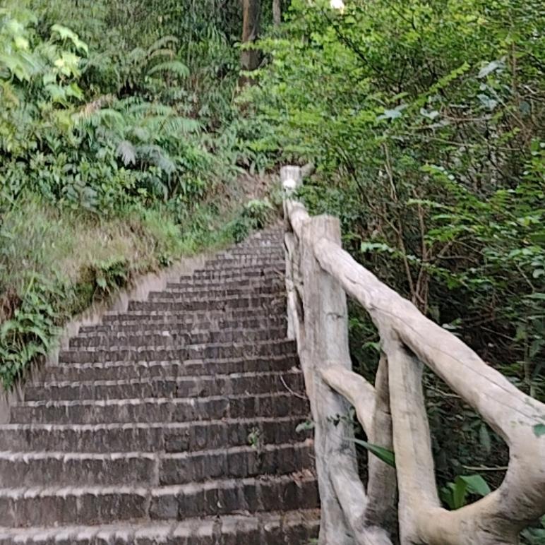 睡眠体验官