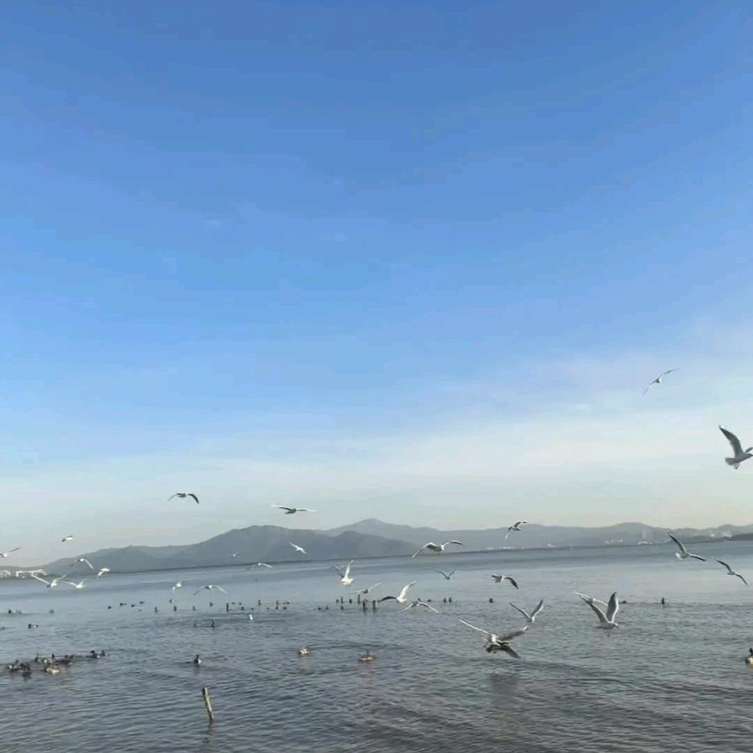 追尋.오래🎣