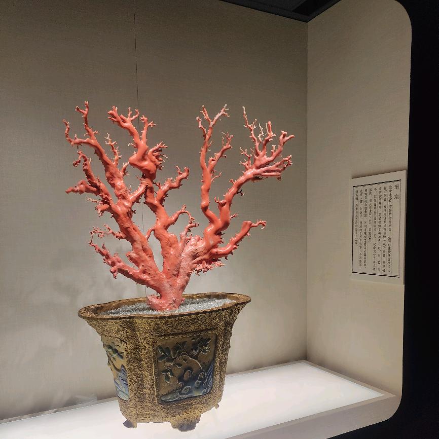 努力每一天