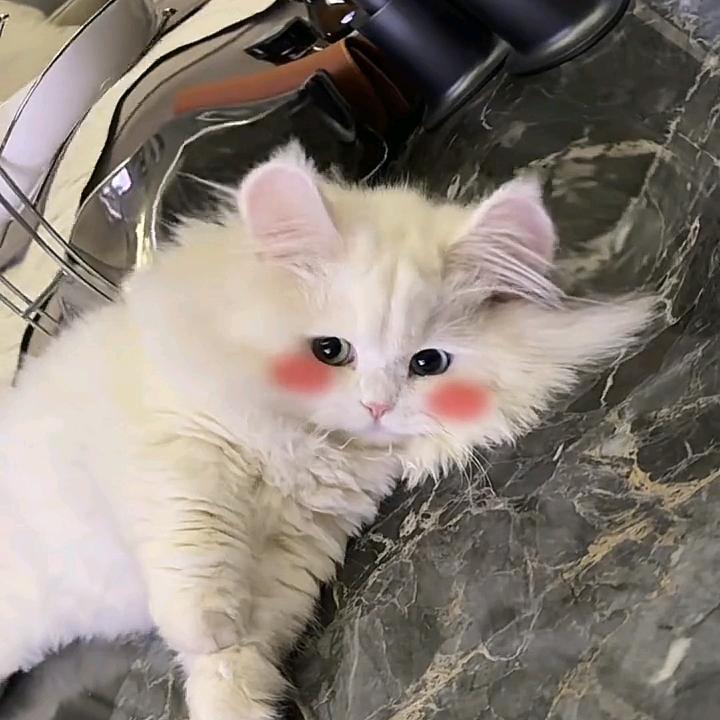 德福味的奶昔