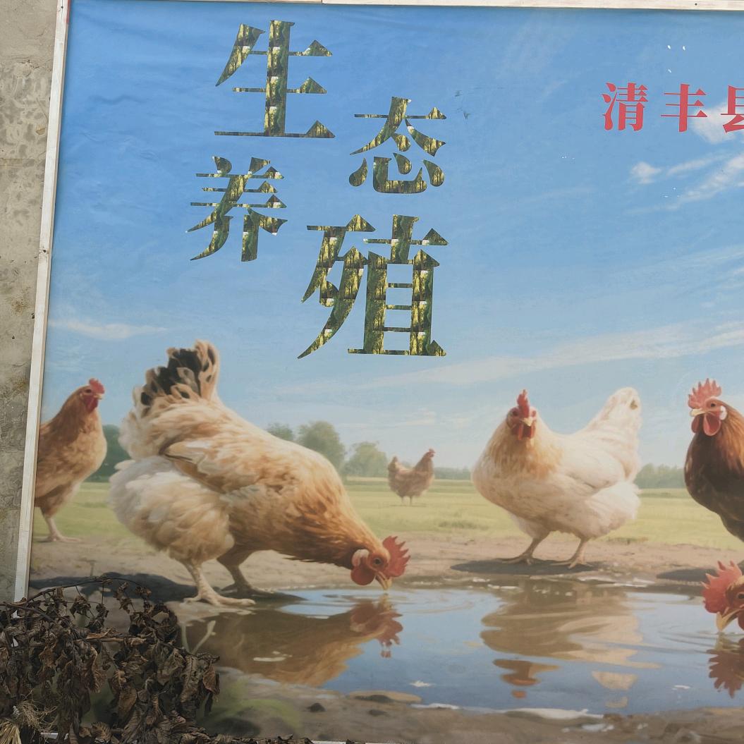 濮阳星禾养殖有限公司