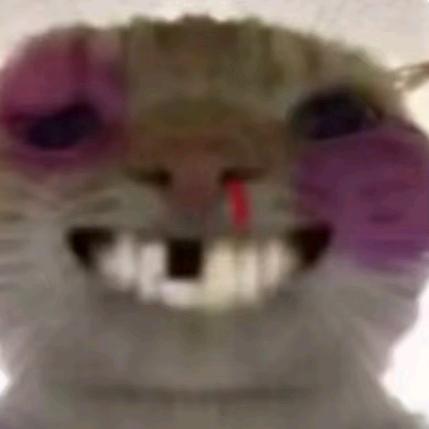 起风（国一伽罗）