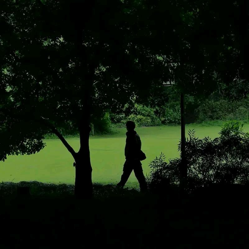 西音肖Sir