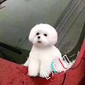 열심히 해 초