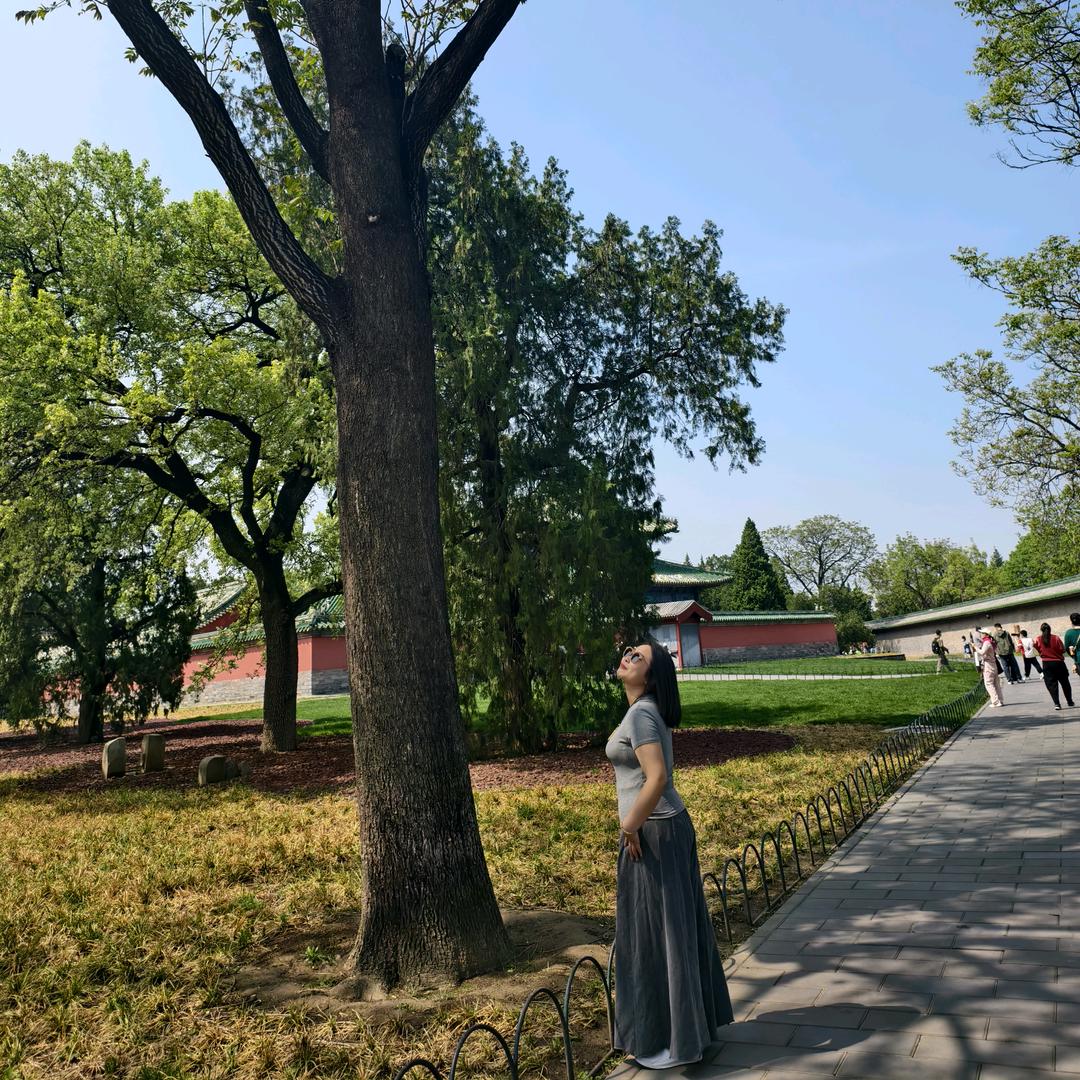 峡谷送头王