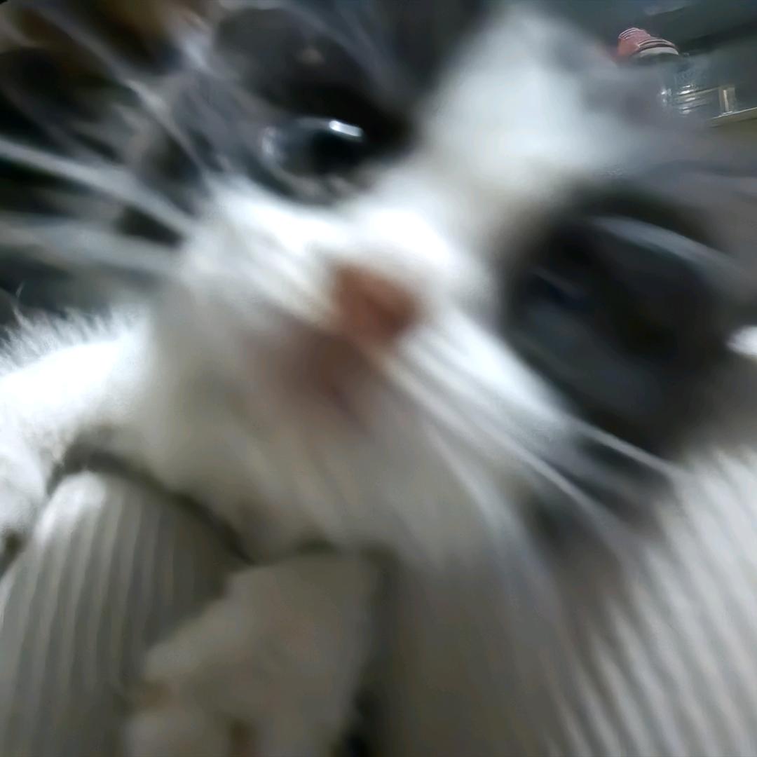 如果可以的话,我想环游世界