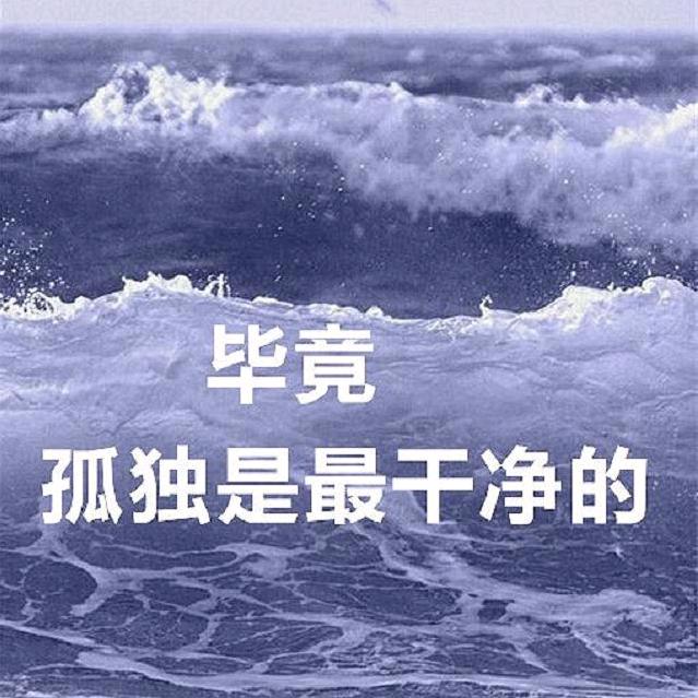 老登丶