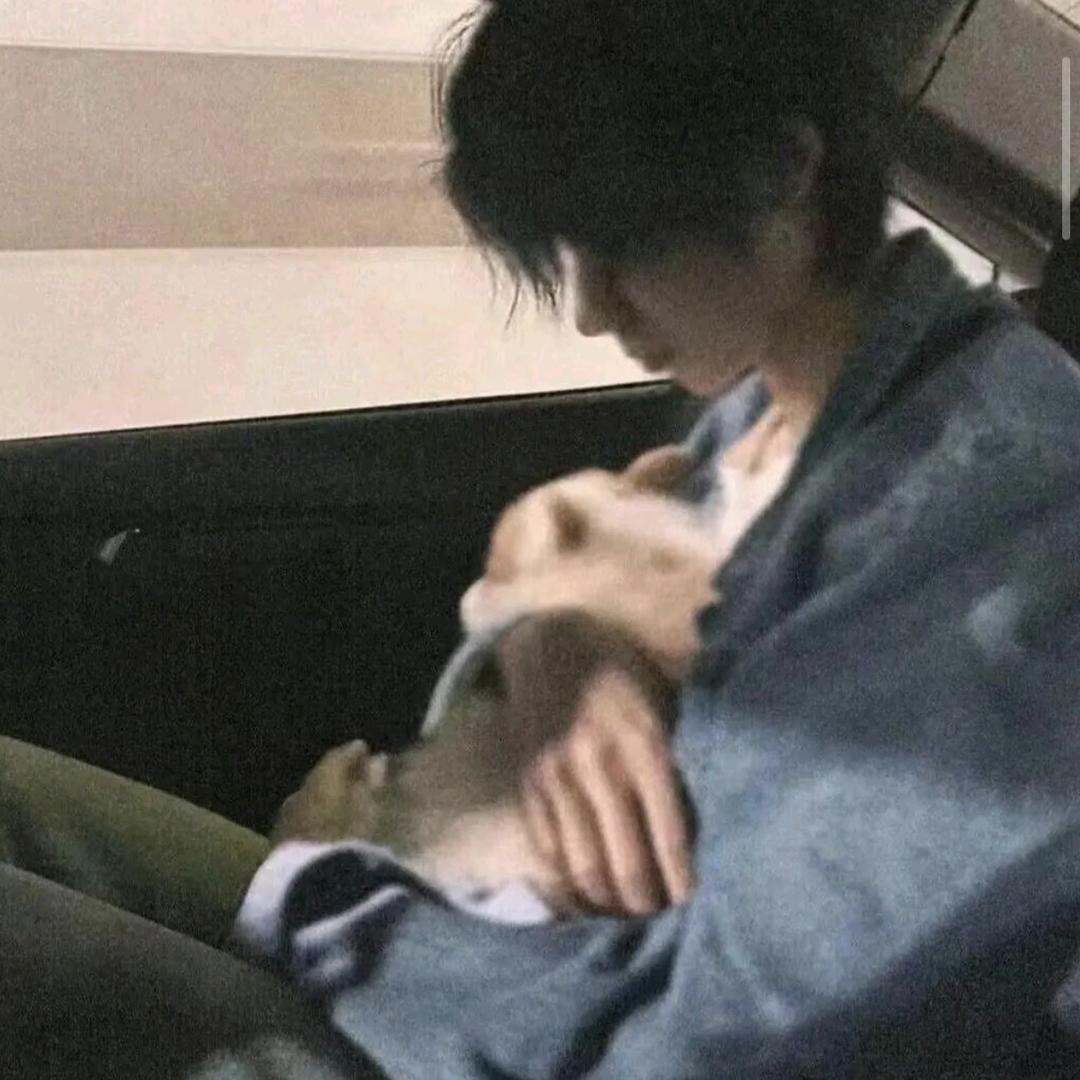 缘中情