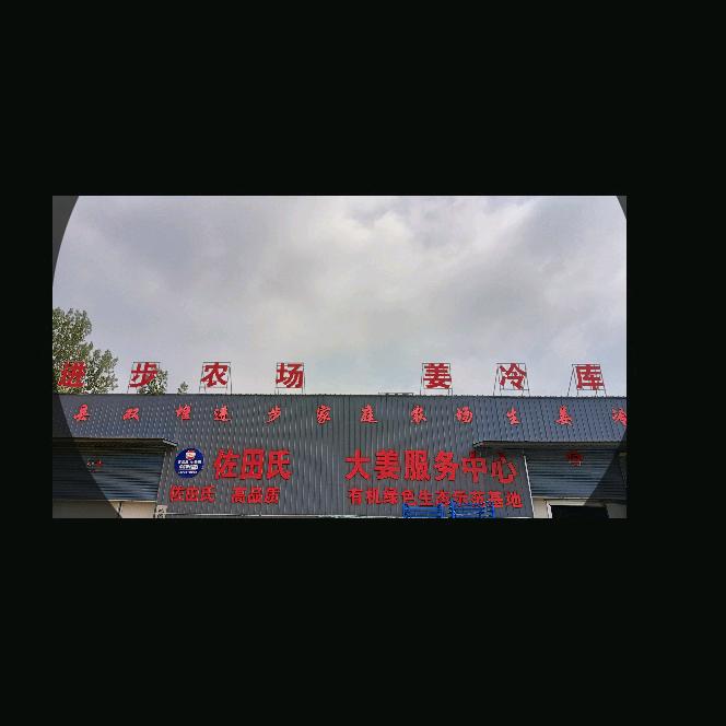 双堆生姜种植技术指导周楠楠