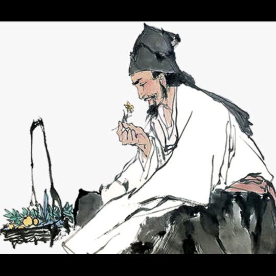 韩老师聊食养