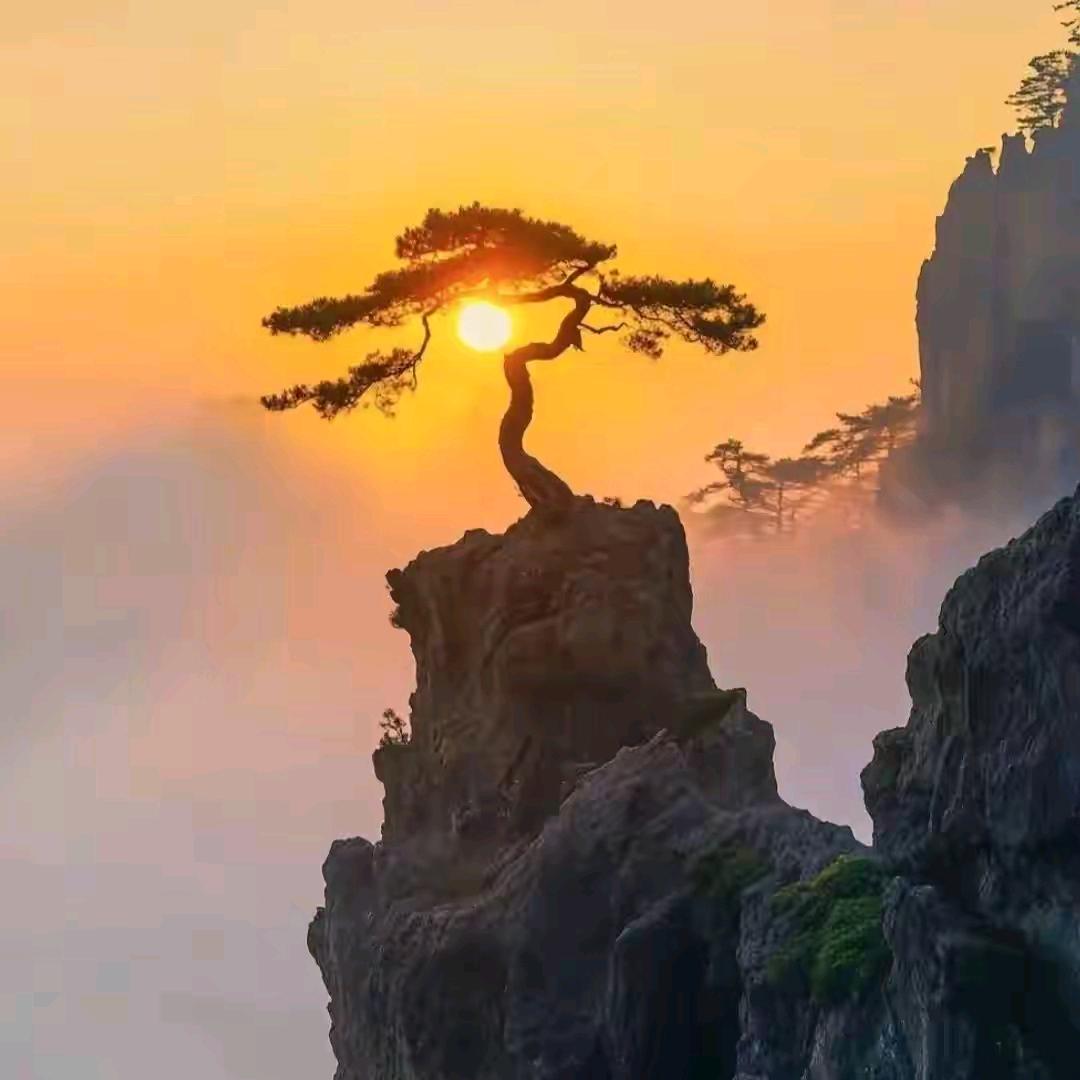 耿旭峰