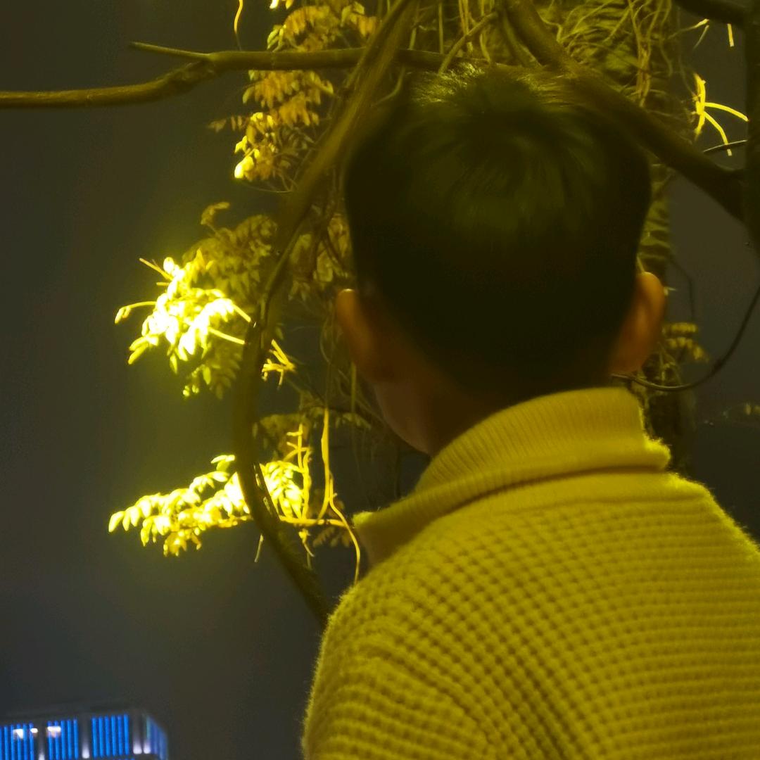 疯了的峯