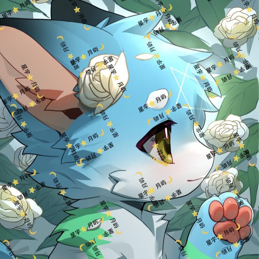 Chineydy星宇⭐