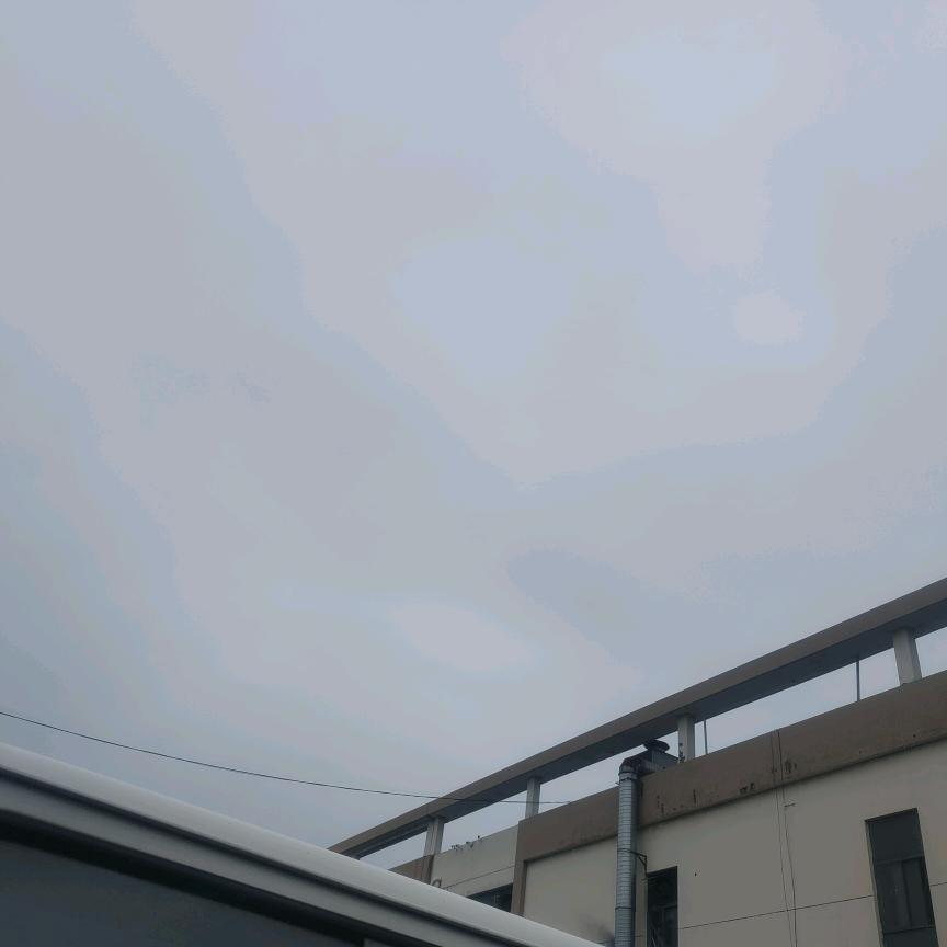 独宠猫猫