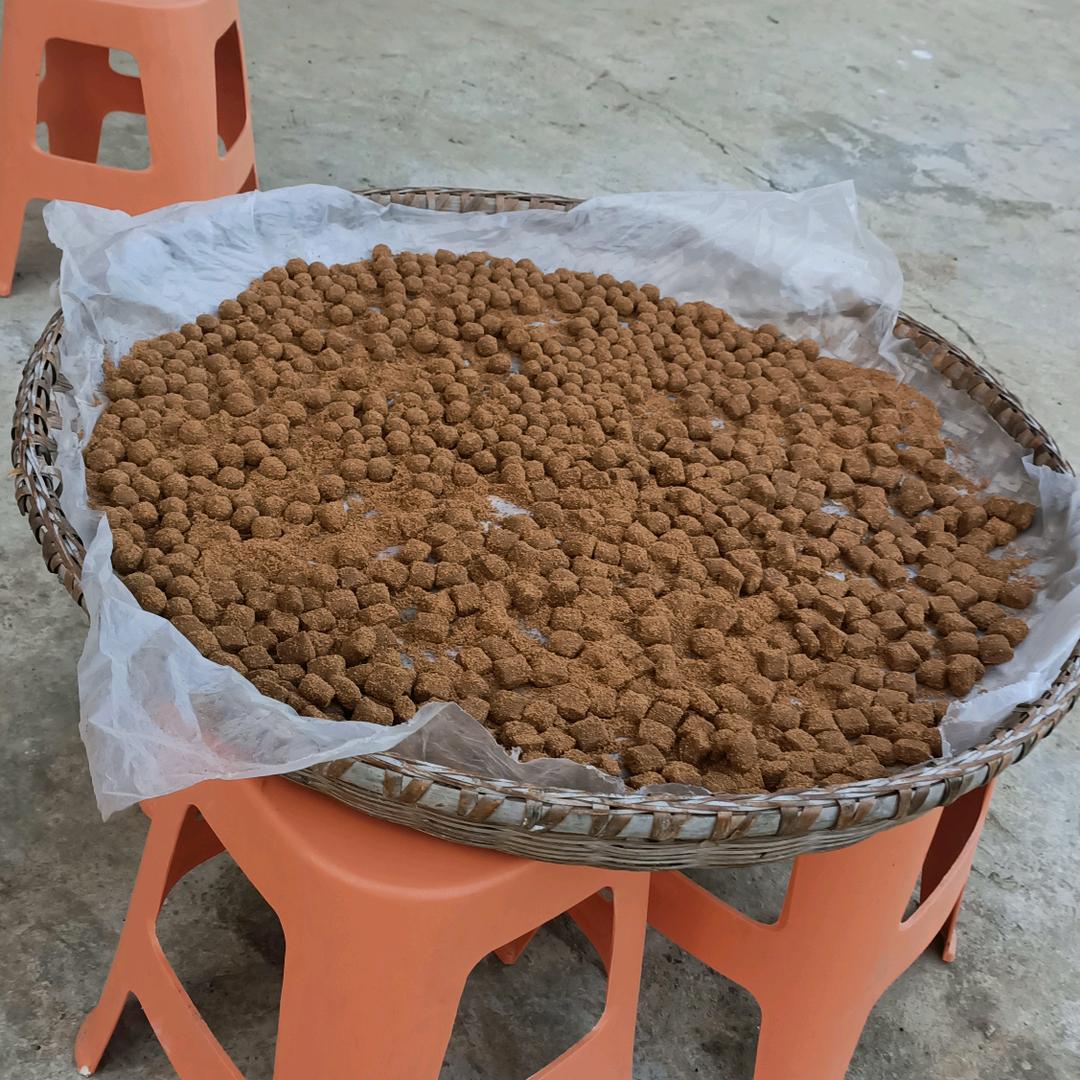 坚持苗家中草药大师