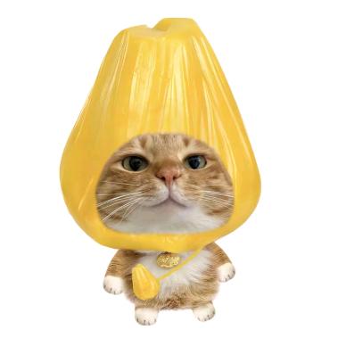 芒果仙人