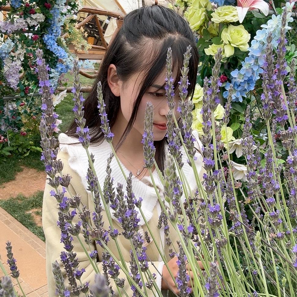 小春春