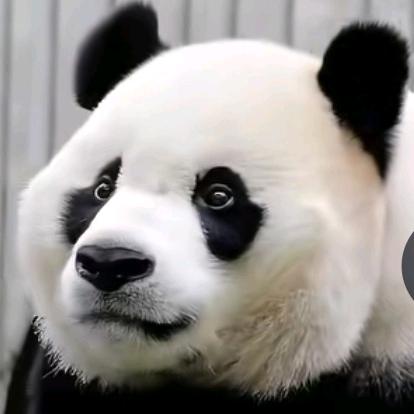 岁月无恙